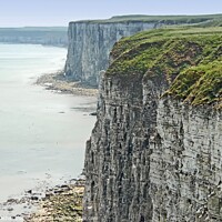 Buy canvas prints of Bempton Cliffs by David Mather