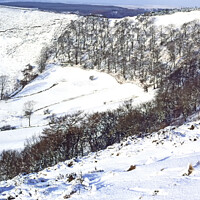 Buy canvas prints of Winter in the North Yorkshire Moors by David Mather