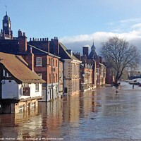 Buy canvas prints of Flooding in York by David Mather