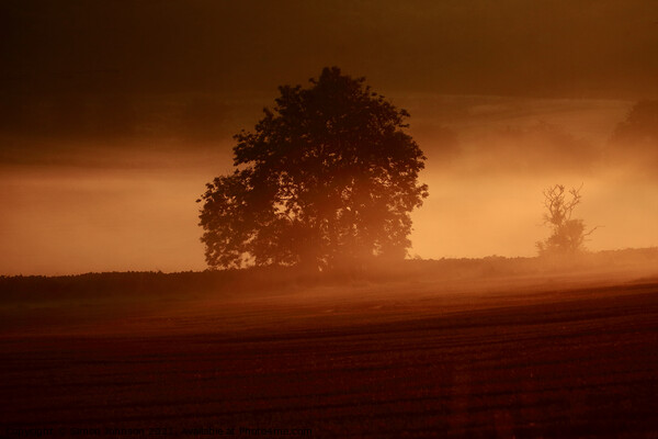 Misty sunrise  Picture Board by Simon Johnson