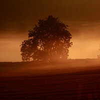Buy canvas prints of Misty sunrise  by Simon Johnson