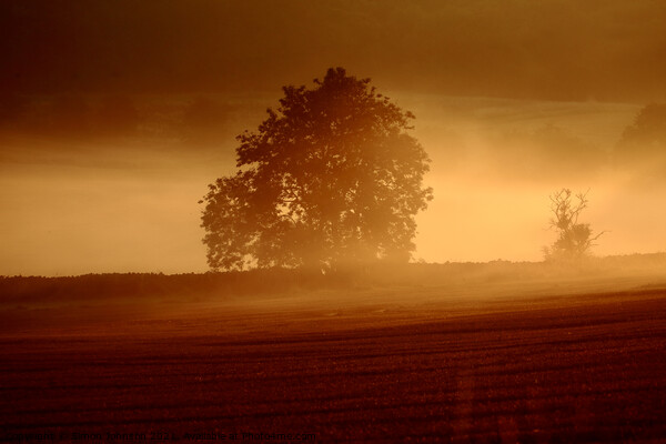 misty sunrise Picture Board by Simon Johnson
