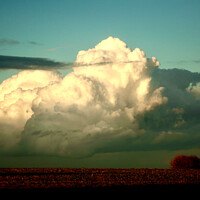 Buy canvas prints of Thunder cloud by Simon Johnson