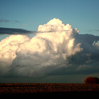Buy canvas prints of cumulous cloud  by Simon Johnson