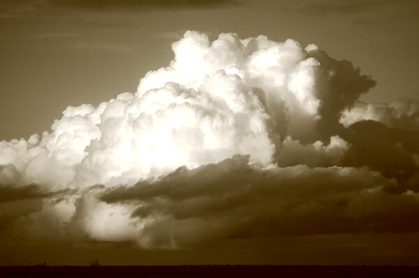 sunlit cumulous cloud Picture Board by Simon Johnson