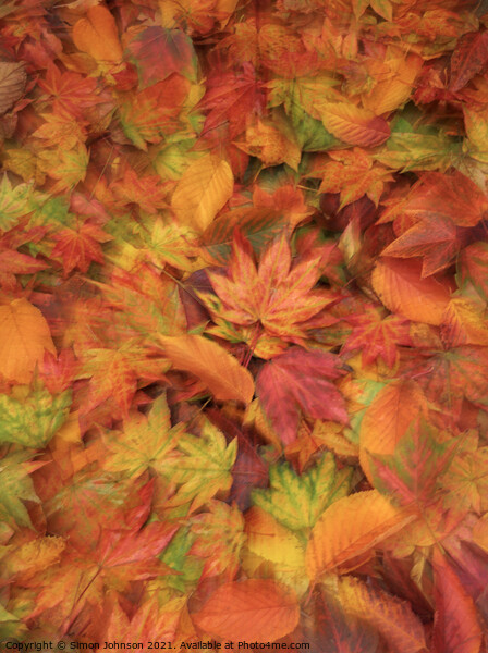 Autumn leaves Picture Board by Simon Johnson