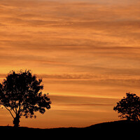 Buy canvas prints of two trees and a sunset sky by Simon Johnson