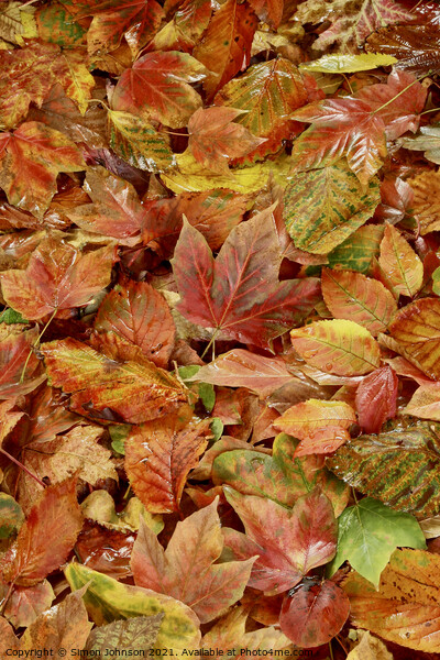 Autumn Leaves Picture Board by Simon Johnson