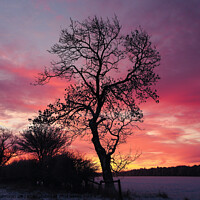 Buy canvas prints of Cotswold sunrise by Simon Johnson