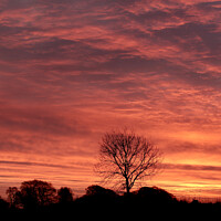 Buy canvas prints of Cotswold Sunrise by Simon Johnson