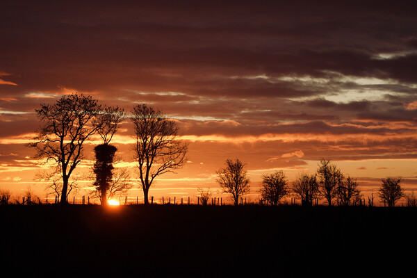 Cotswold sunrise Picture Board by Simon Johnson