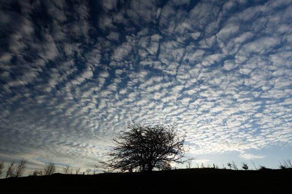Sky cloud Picture Board by Simon Johnson