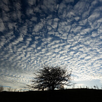 Buy canvas prints of Sky cloud by Simon Johnson