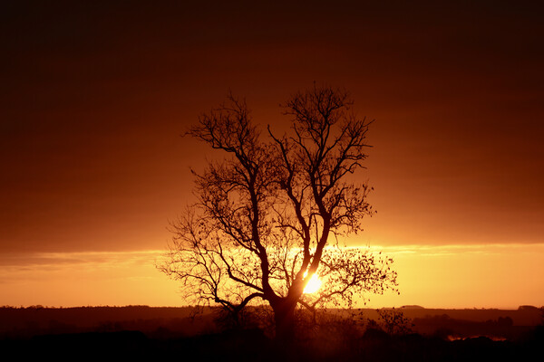 Cotswold sunrise  Picture Board by Simon Johnson