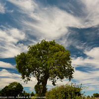 Buy canvas prints of Sky cloud by Simon Johnson