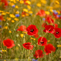 Buy canvas prints of Outdoor field by Simon Johnson