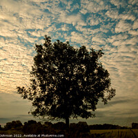 Buy canvas prints of isolated tree by Simon Johnson