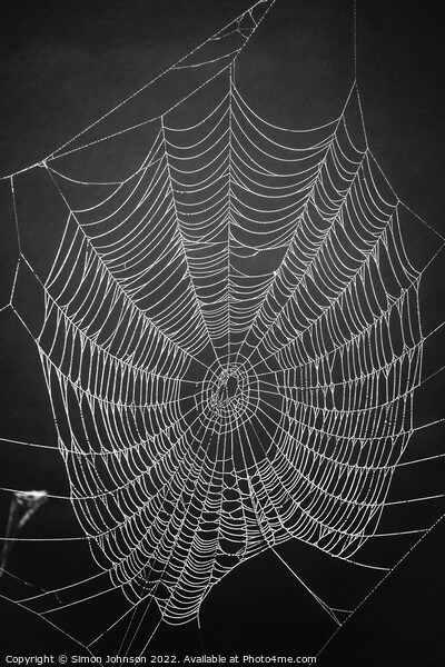 Spider architecture  Picture Board by Simon Johnson