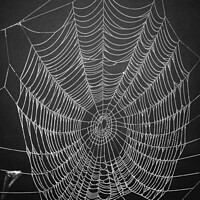 Buy canvas prints of Spider architecture  by Simon Johnson