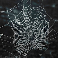Buy canvas prints of Spiders web  by Simon Johnson