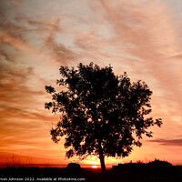 Buy canvas prints of Tree silhouette at sunrise by Simon Johnson