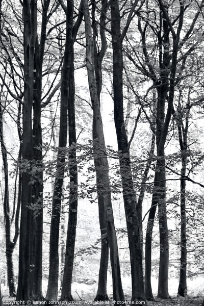 Treescape Picture Board by Simon Johnson