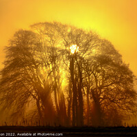 Buy canvas prints of Trees, mist and sunburst by Simon Johnson
