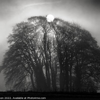 Buy canvas prints of  Misty sunrise Broadway Woods Cotswolds Gloucester by Simon Johnson