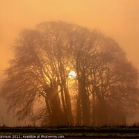 Buy canvas prints of misty sunrise by Simon Johnson