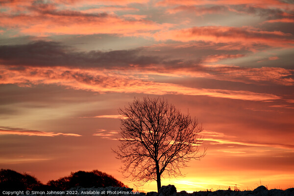 winter sunrise Cotswolds  Picture Board by Simon Johnson