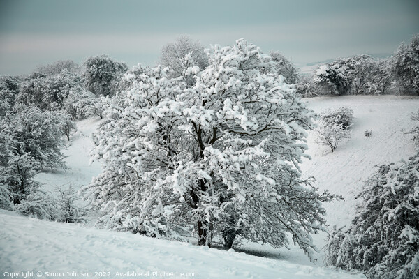 Cotswold Snow Picture Board by Simon Johnson