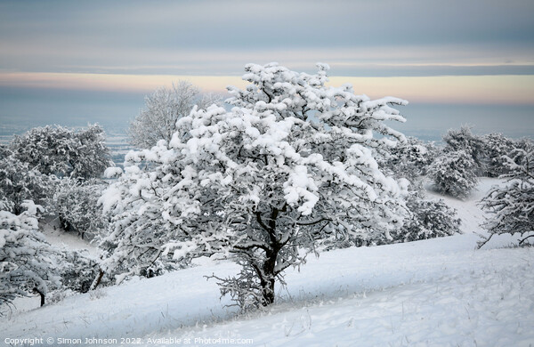 Snow scene Picture Board by Simon Johnson