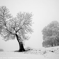 Buy canvas prints of Snow scene by Simon Johnson