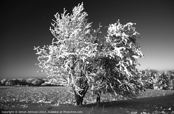 Frosted Tree and snow Picture Board by Simon Johnson