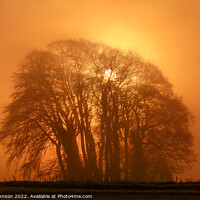 Buy canvas prints of Misty trees by Simon Johnson