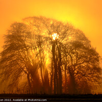 Buy canvas prints of Mist sun, and Trees by Simon Johnson