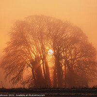 Buy canvas prints of Misty trees and sun by Simon Johnson