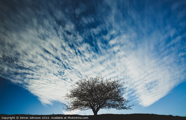 tree and cloud Picture Board by Simon Johnson
