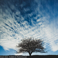Buy canvas prints of tree and cloud by Simon Johnson