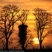 Buy canvas prints of Tree silhouettes at sunrise by Simon Johnson