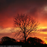 Buy canvas prints of tree silhouette at sunrise by Simon Johnson