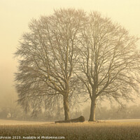 Buy canvas prints of Two trees by Simon Johnson