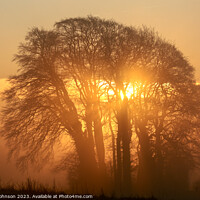 Buy canvas prints of Tree silhouette against sunrise sky by Simon Johnson