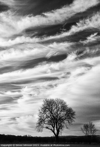 Tree silhouette against a dramatic cloudscape  Picture Board by Simon Johnson