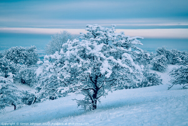 A snow covered landscape Picture Board by Simon Johnson