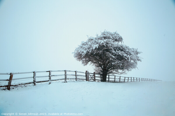 Frosted tree with fence in  snow Picture Board by Simon Johnson