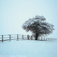 Buy canvas prints of Frosted tree with fence in  snow by Simon Johnson