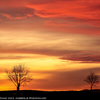 Buy canvas prints of two trees by Simon Johnson