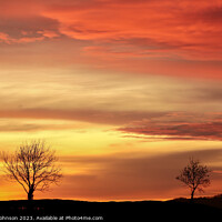 Buy canvas prints of Tree silhouettes sunset by Simon Johnson
