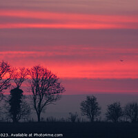Buy canvas prints of sunrise sky by Simon Johnson